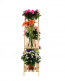 Fa állvány virágokhoz113x101x26 cm